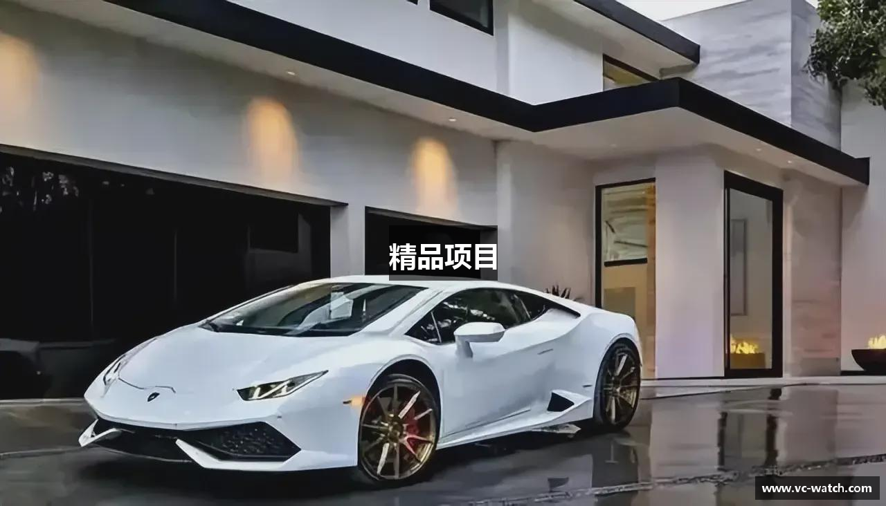 精品项目